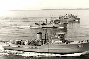 Teal, Snipe, Curlew and Hawk of 16 MSS